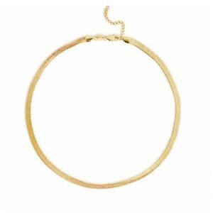 Jennifer Zeuner Allie 14k Gold Plated Herringbone Chain Necklace New
